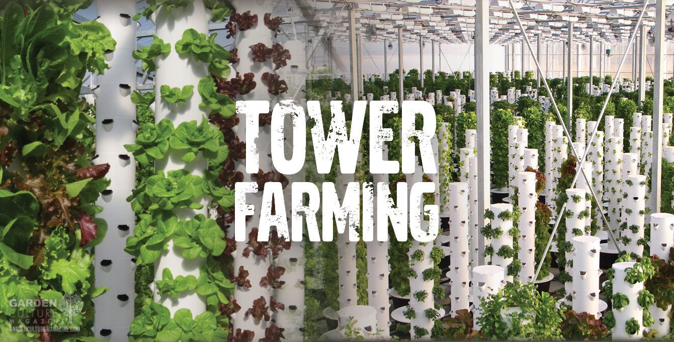 tower farming