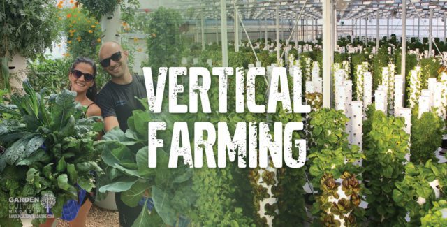 vertical farming