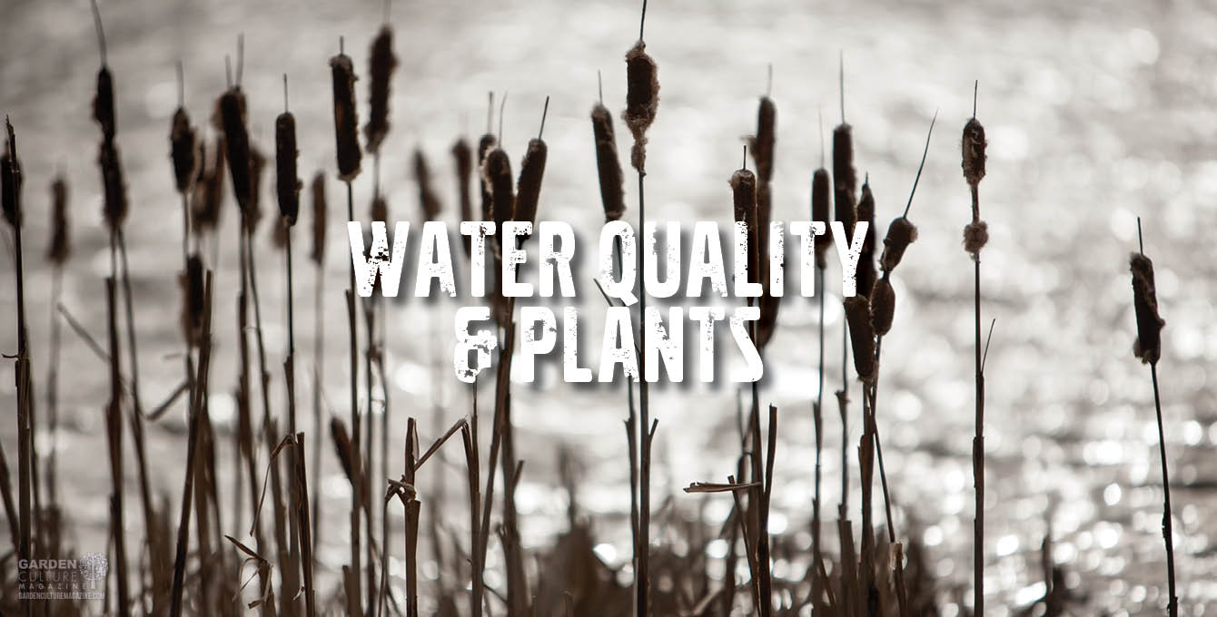 Water Quality & Plants
