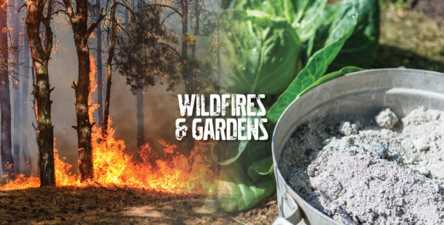 wildfires and gardens