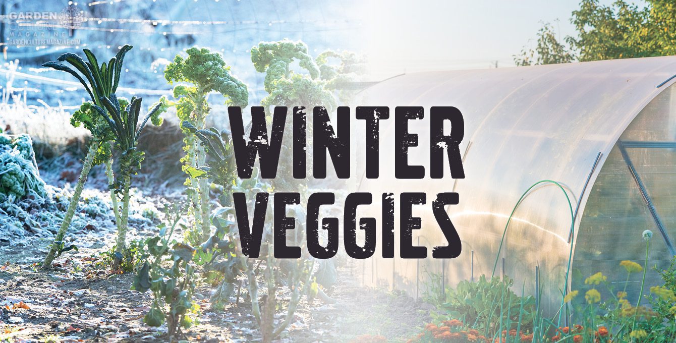 Winter veggies