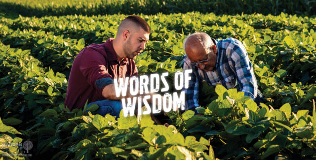 Words of wisdom to plan your next grow