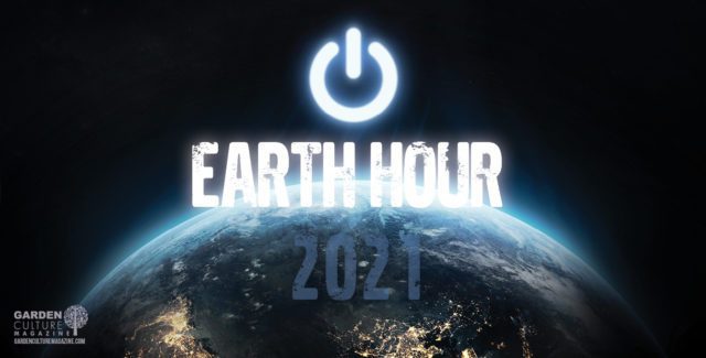 Earth Hour 2021