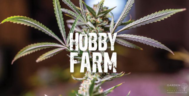 Hobby farm