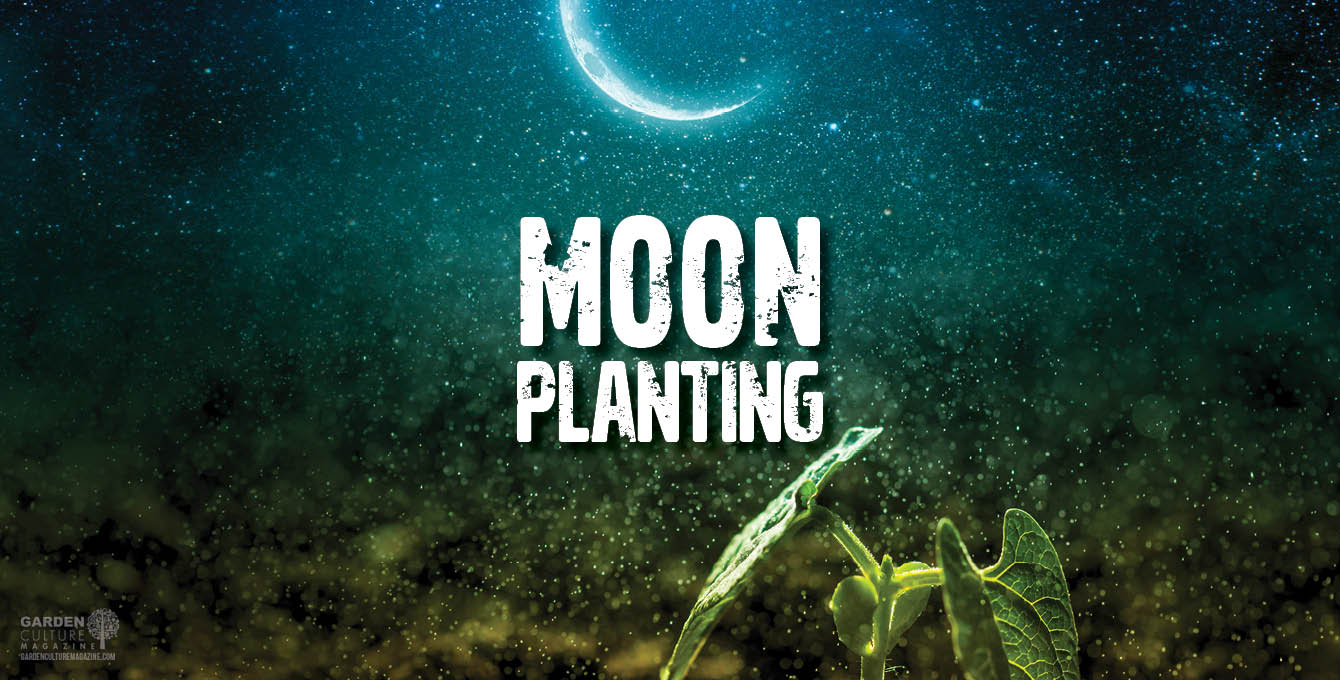 Moon planting