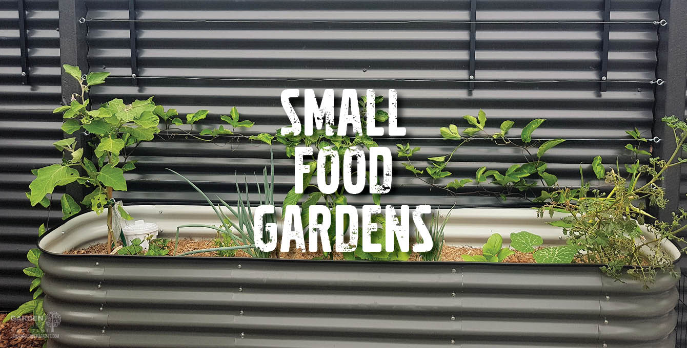 Small Food Gardens