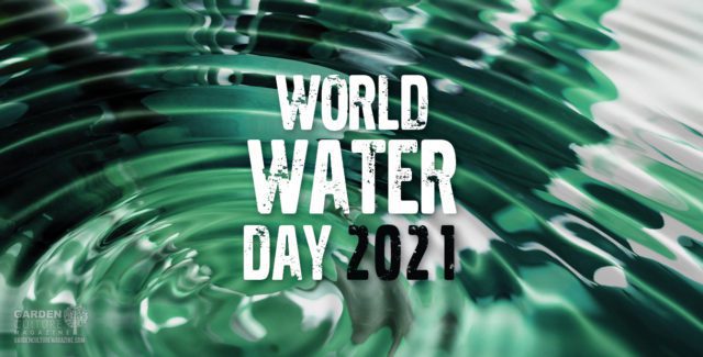world water day