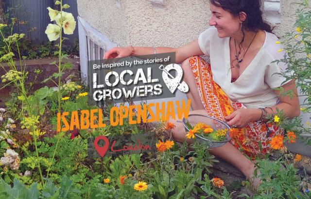Isabel Openshaw featured local grower