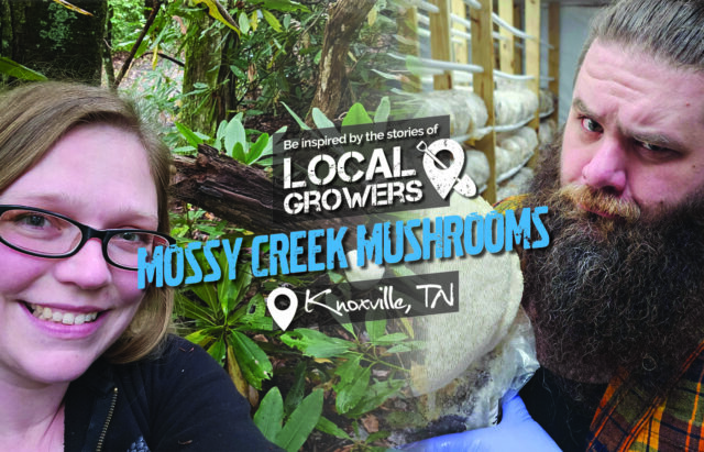 Mossy Creek Mushrooms - Garden Culture Magazine