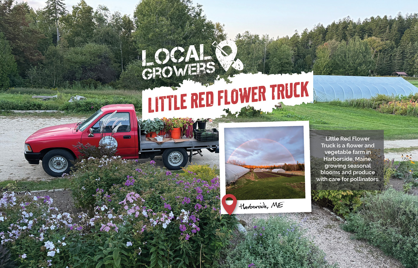 Little Red Flower Truck