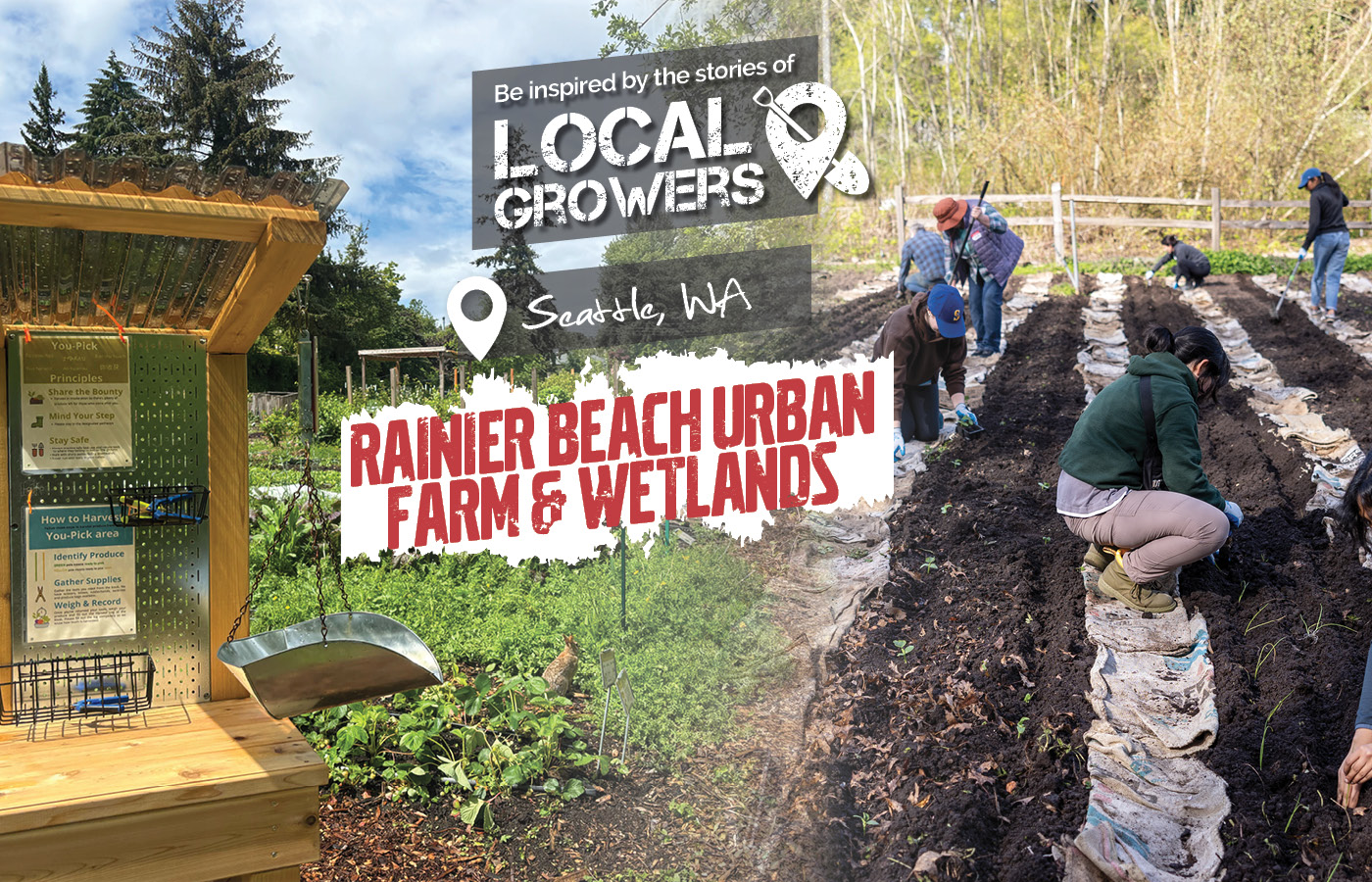 Rainier Beach Urban Farm & Wetlands
