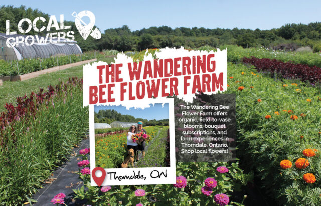 The Wandering Bee Flower Farm