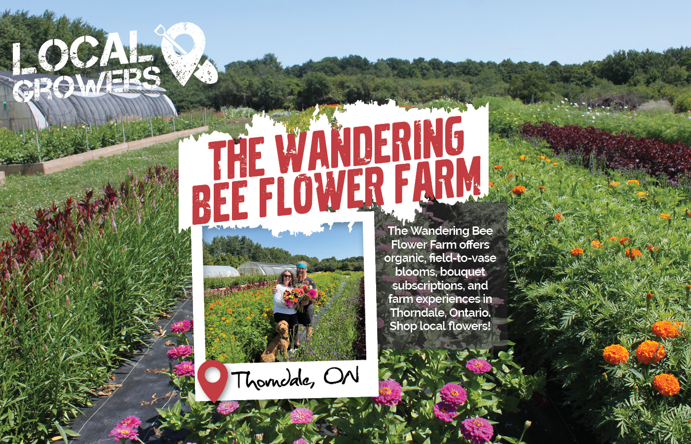 The Wandering Bee Flower Farm