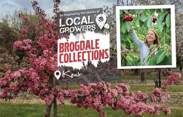 Brogdale Collections