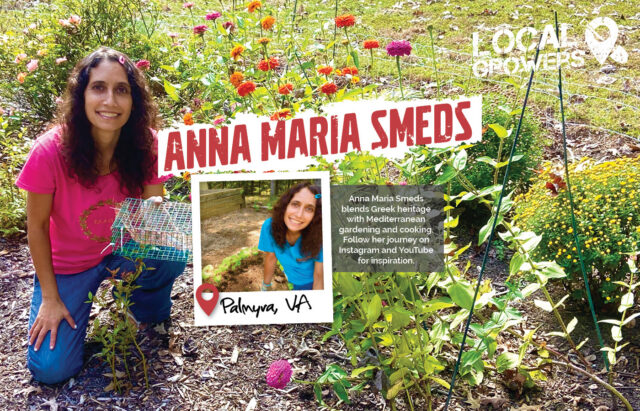 Anna Maria Smeds