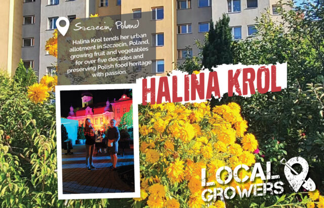 Halina Krol