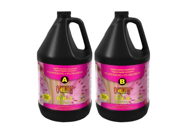 Optimum Hydroponix Flowering