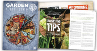Harvest Time article spread