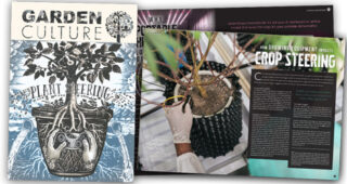 Mastering Crop Steering