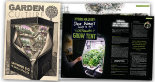 Growing Big in Small Space UK72 US70 SA05