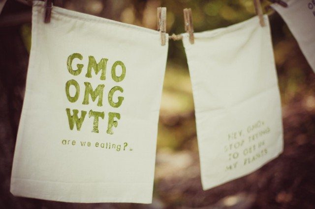 Farm Market Shopping Style: GMO Produce Bag