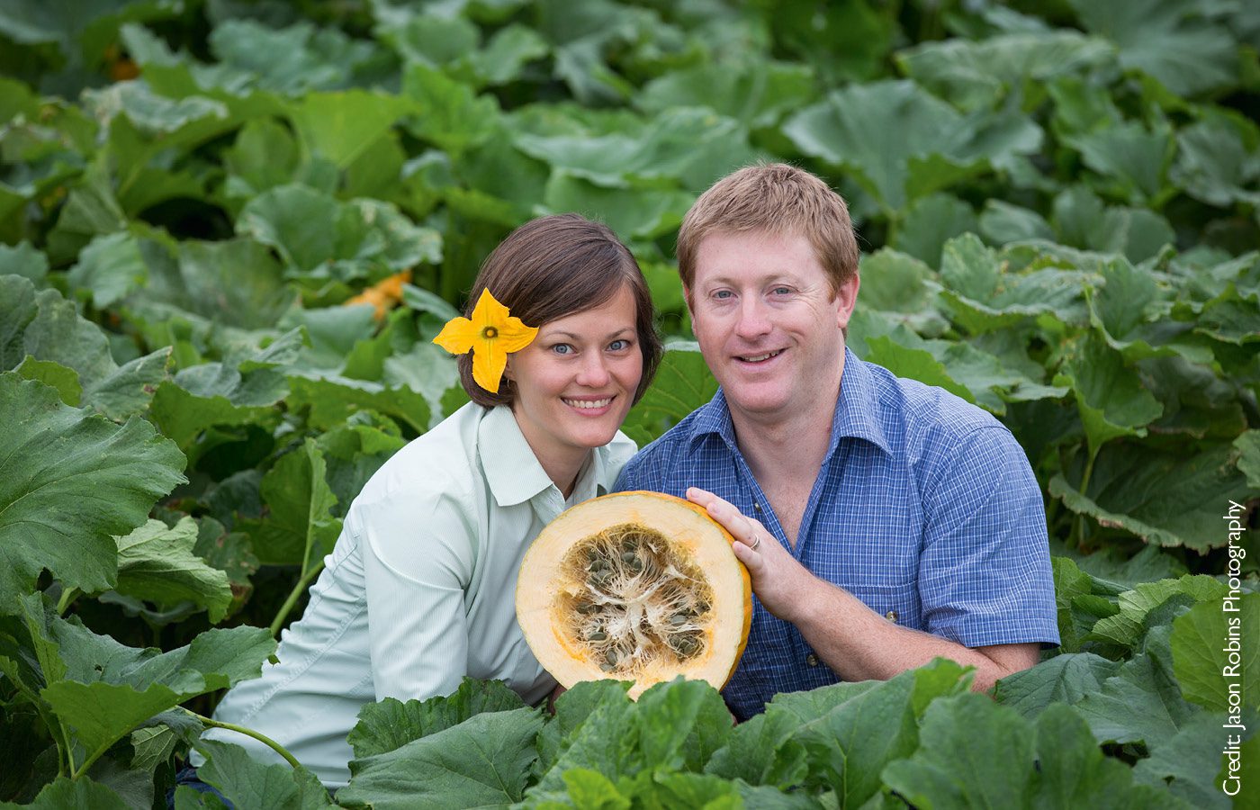 Pumpkin Seed Oil - Pepo Farms