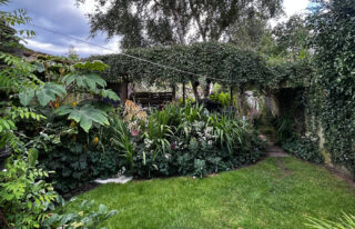 outbuilding camouflaged by foliage