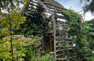 garden pergola 