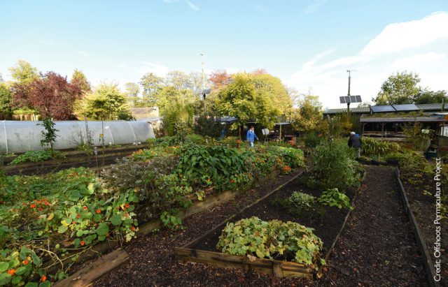 Offshoots Permaculture Project