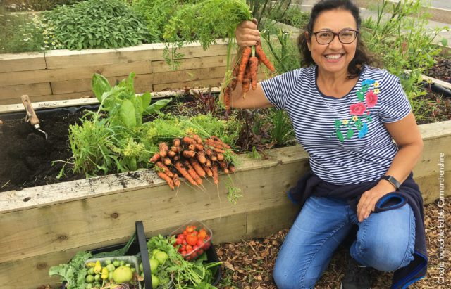 Incredible Edible Carmarthenshire CIC