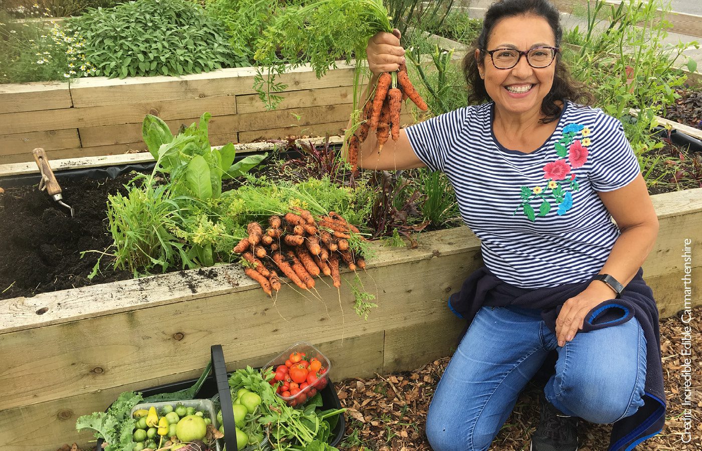 Incredible Edible Carmarthenshire CIC