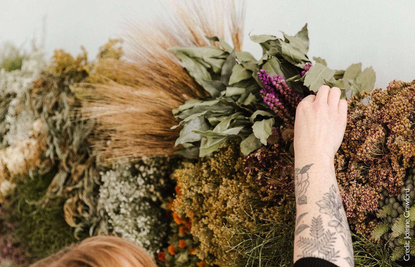 The Plant Room Studio