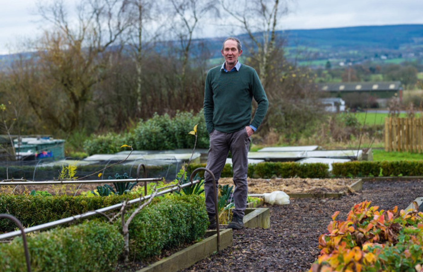 Bees, Trees, Flowers and Peas