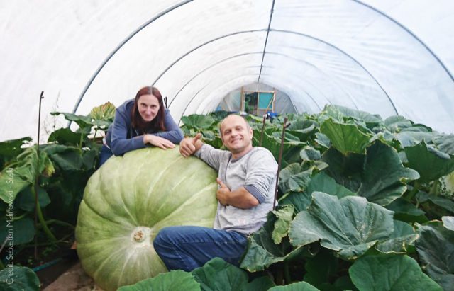 Sebastian Malinowski - Suski