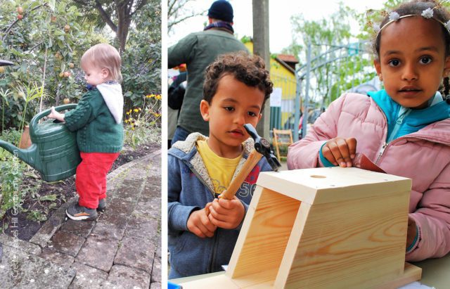 Grapes Hill Community Garden