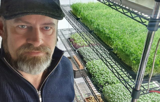 Ulrico's Microgreens