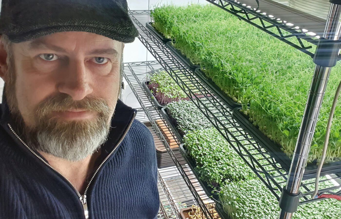 Ulrico's Microgreens