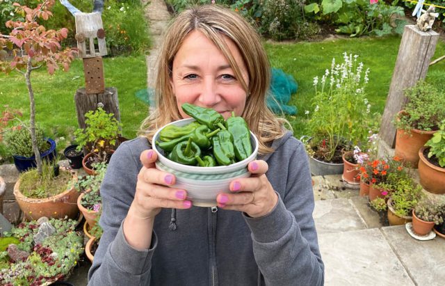 Sacha Brown - Queen of Seed