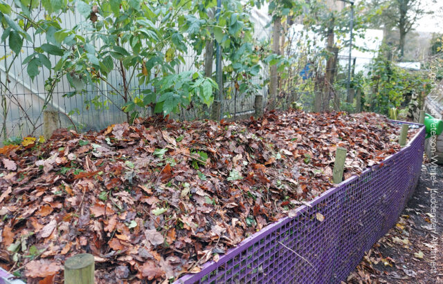 Nigel Peterson-White