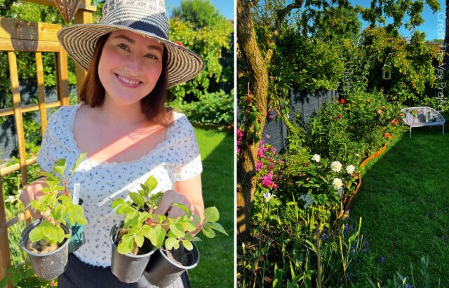 Amy The Lockdown Gardener