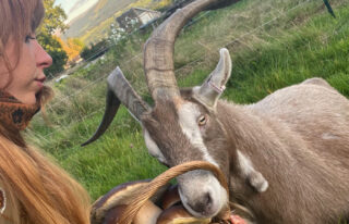 Goats with Aimee Cornwell