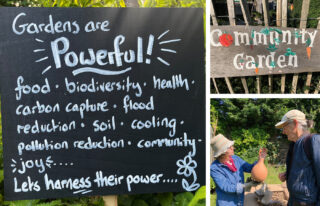 Alice Park Community