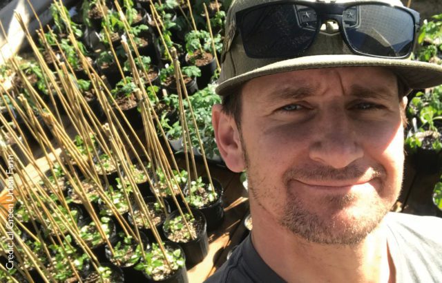 Lil Green Urban Farm