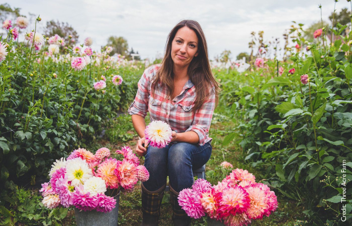 Three Acre Farm Local Growers