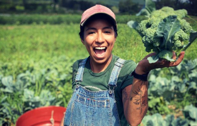 Rock Steady Farm & Flowers