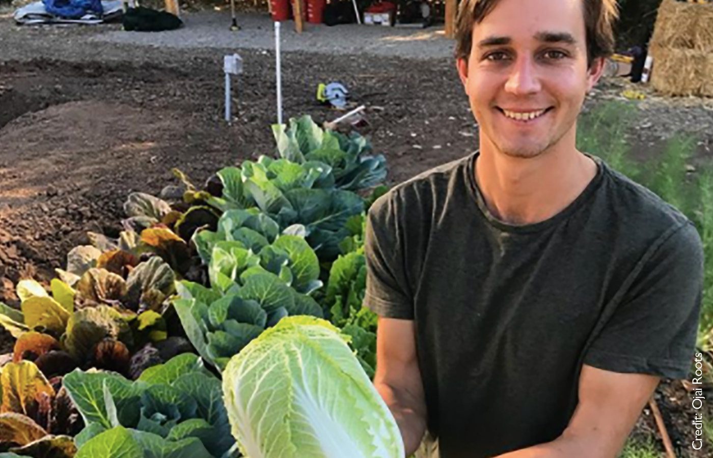 Ojai Roots Local Growers