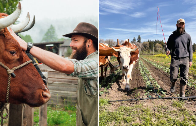 Shakefork Community Farm