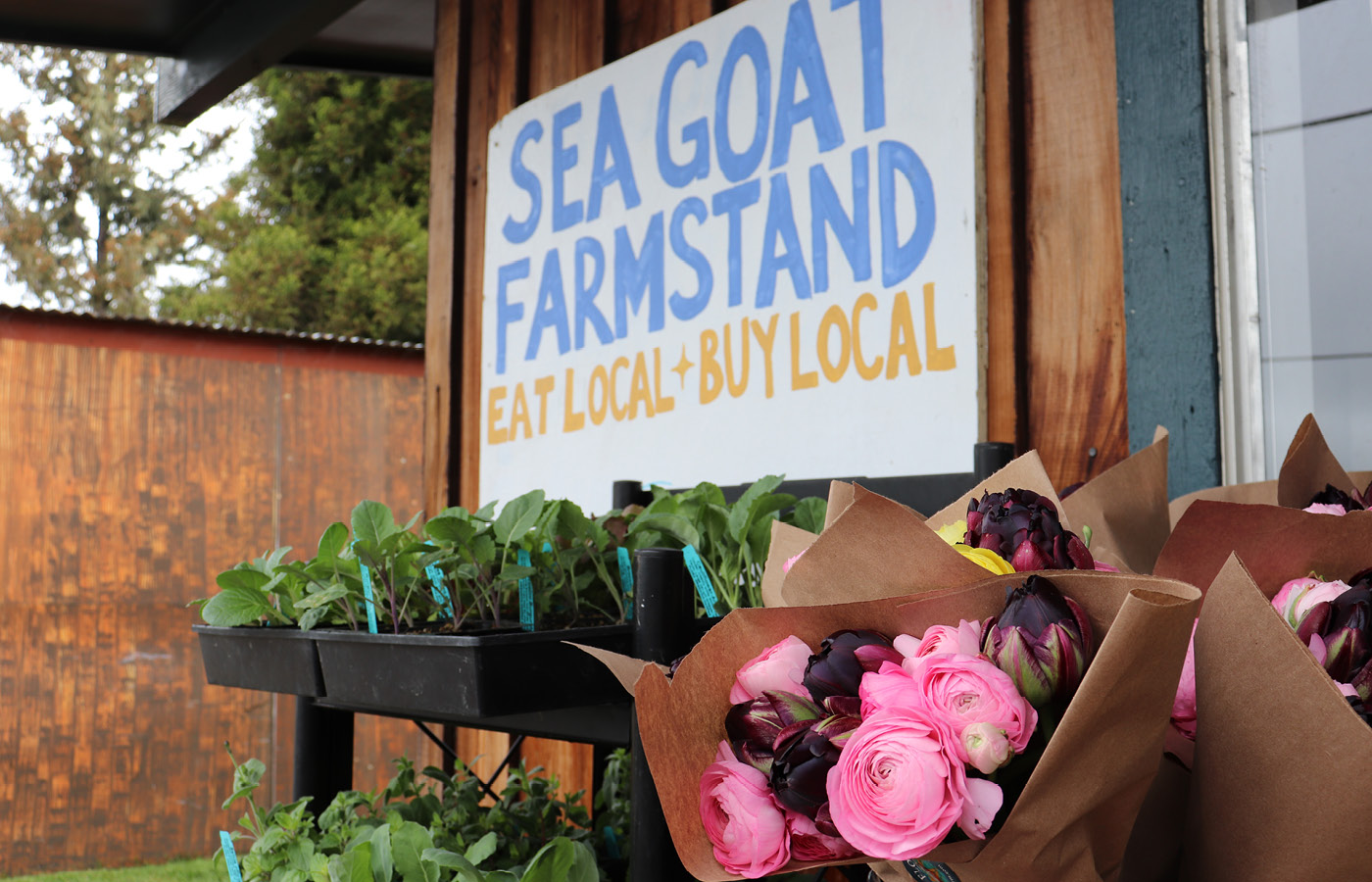 Sea Goat Farm Stand