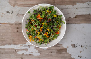 Garden salad from Cookstown Greens