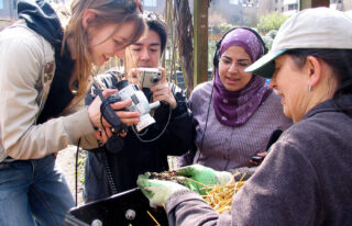 Sharing knowledge at the demonstration garden